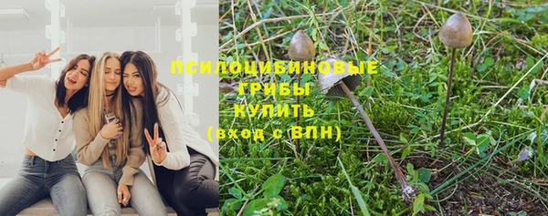 амф Богданович
