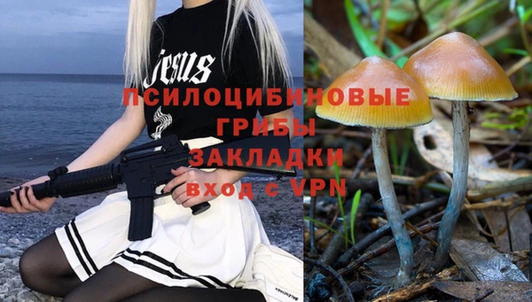 mix Богородицк