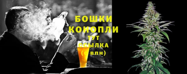 mix Богородицк