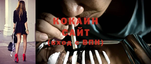 mix Богородицк