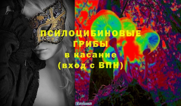 mix Богородицк