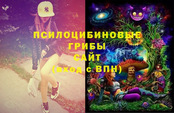амф Богданович