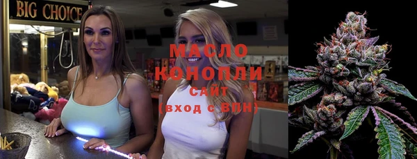mix Богородицк
