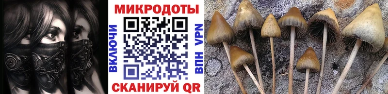 цена наркотик  Дятьково  Псилоцибиновые грибы MAGIC MUSHROOMS 